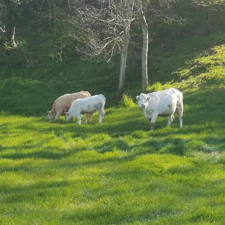Le P'tit Torceen Proche De Dieppe Par Com'en Normandie بيت للعطل