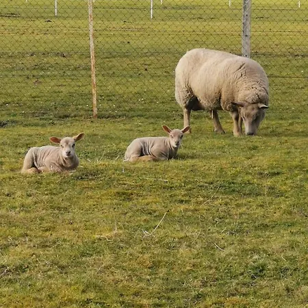 بيت للعطل Le P'tit Torceen Proche De Dieppe Par Com'en Normandie Torcy-le-Petit (Seine-Maritime)