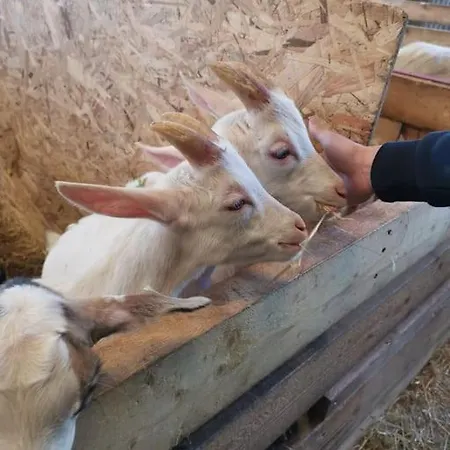 بيت للعطل Le P'tit Torceen Proche De Dieppe Par Com'en Normandie *